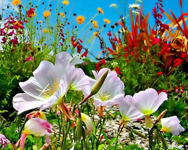 419492_332193260151557_159666184070933_912774_2103115590_n