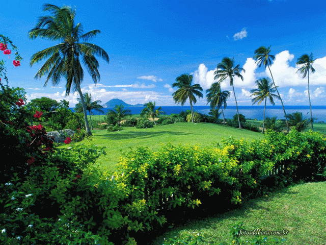 o-equilibrio-e-o-respeito