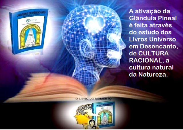 reflexao-a-vida-da-materia
