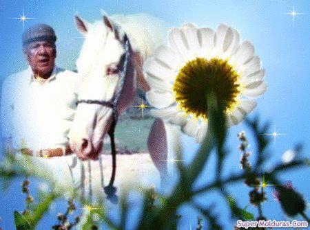 432248_260115317407596_231500098_n