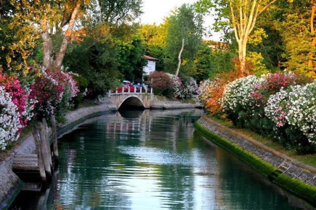 252000_517243458297870_900276998_n