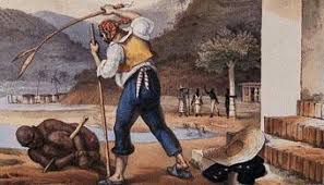 O MAU NÃO RECONHECE DIREITOS