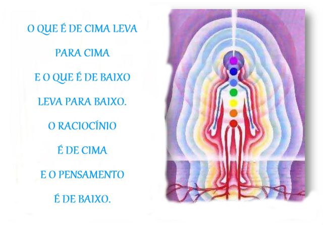 TODO SE PUEDE CURA 21