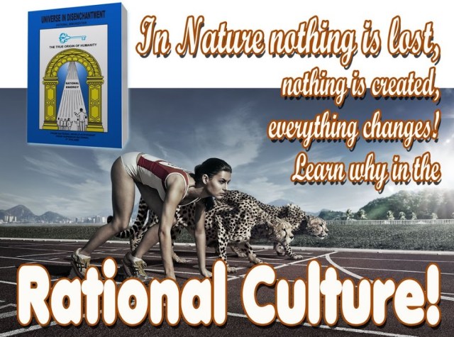 CORREDORA E ONÇA-INGLÊS