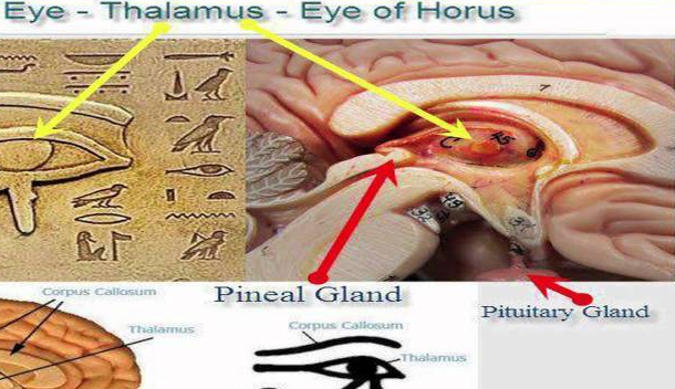 APRENDENDO A RACIOCINAR