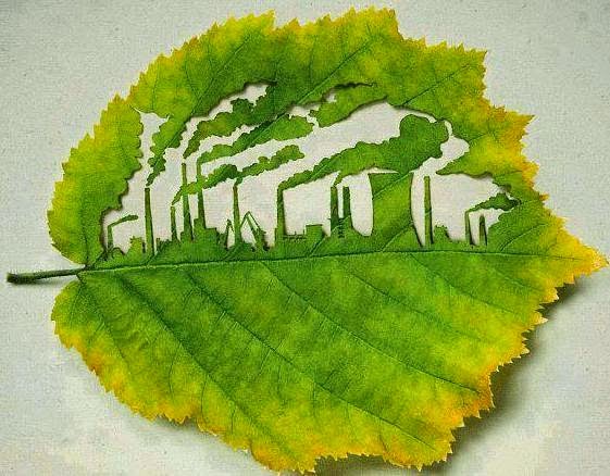 Leaf art with valuable message.