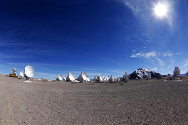 argentina-hooligans1