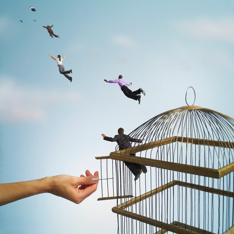 People released from birdcage