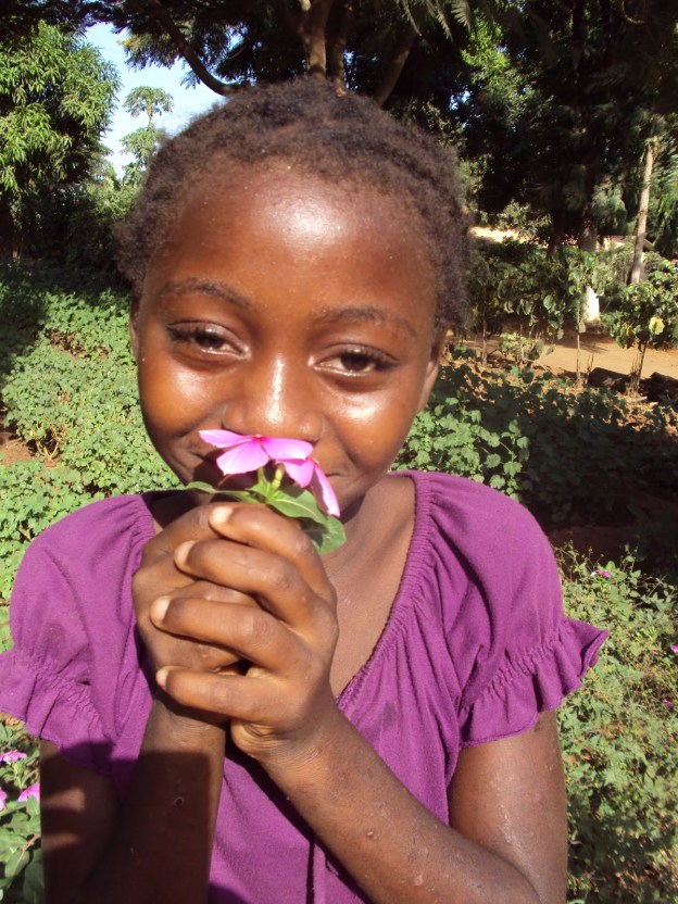 FUJA DOS ENGAMBELOS E DAS APARÊNCIAS