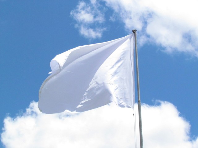 RACIOCINAR, ÚNICA CONDIÇÃO DIGNA HUMANA