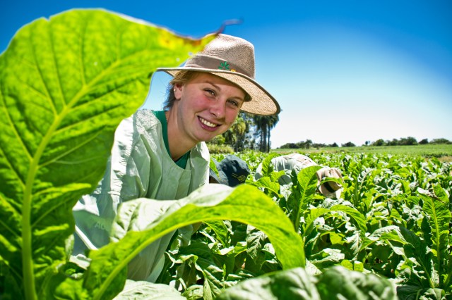 anuario brasileiro do tabaco 2013