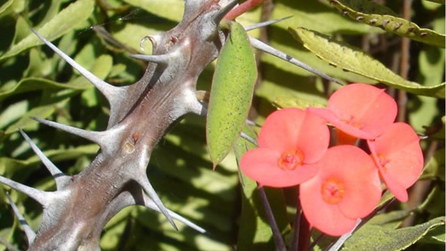 ADEQUAR PARA RECUPERAR