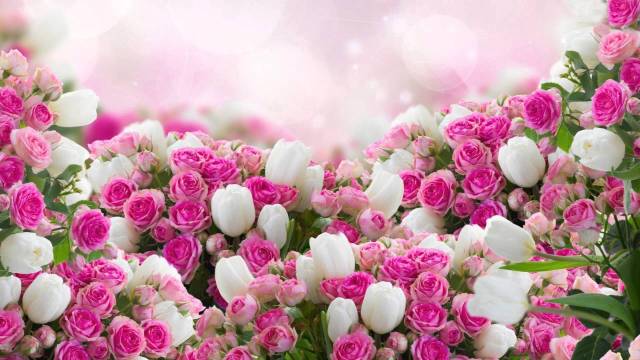 PARA ALCANÇAR A MAIOR VITÓRIA DA VIDA!