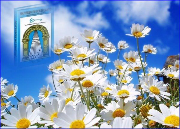 florir-com-o-raciocinio