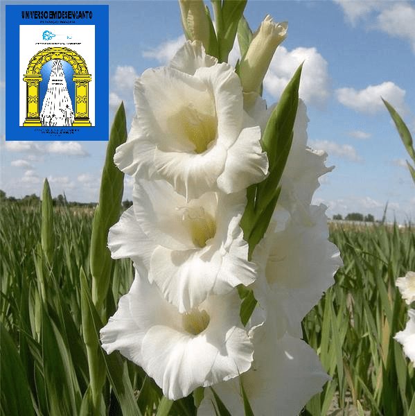 o-significado-da-cruz