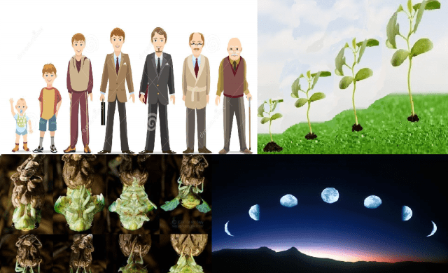 ONDE TUDO É APARENTE, AS SOLUÇÕES TAMBÉM SÃO APARENTES, NÃO EXISTEM!.jpg