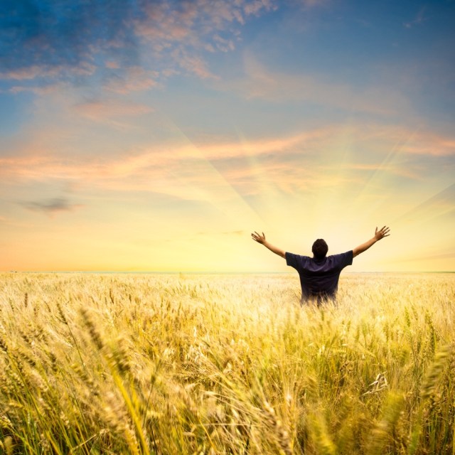 o-corpo-de-materia-e-uma-maquina-de-vida