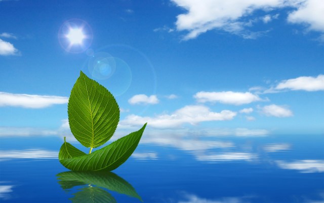 PROCURE SE CONHECER, POIS, NINGUÉM PODERÁ FAZÊ-LO POR VOCÊ!.jpg