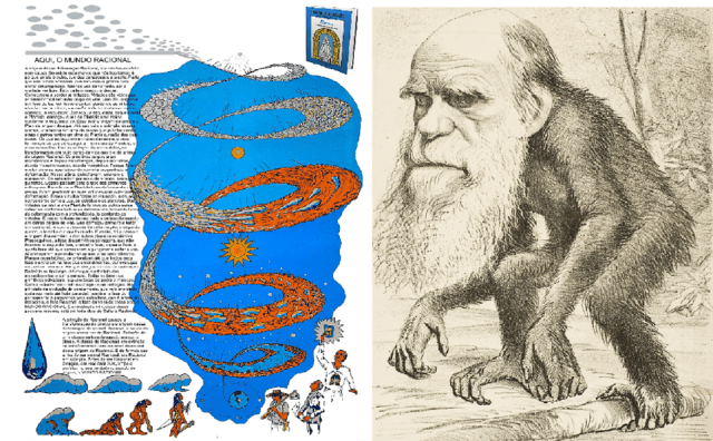 O PORQUÊ A TEORIA DARWINISTA DA EVOLUÇÃO NÃO FAZ SENTIDO.png