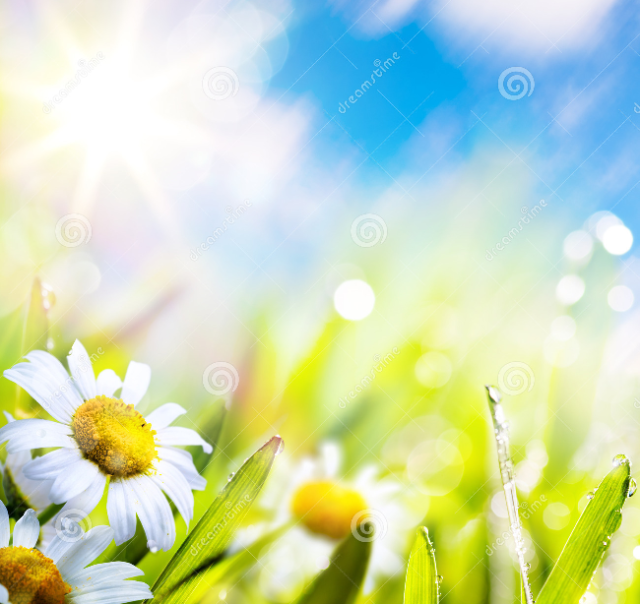 AJUSTAR NOSSA ESSÊNCIA.jpg