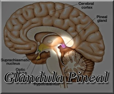 CONHEÇA A VIDA, PARA DAR VALOR À VIDA QUE VOCÊ NÃO CONHECE!.jpg