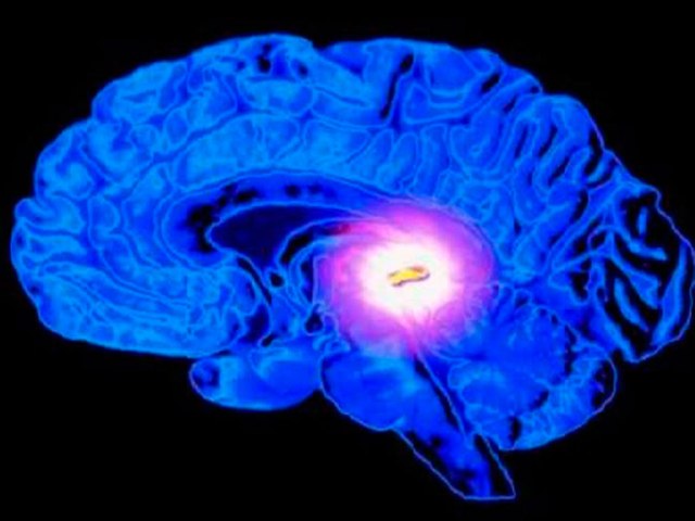 A MÁQUINA DO RACIOCÍNIO