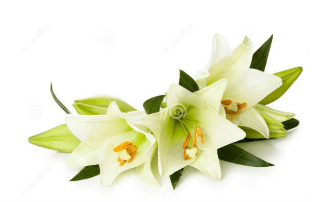 NÃO SE IRRITE COM OS REVESES DA VIDA!