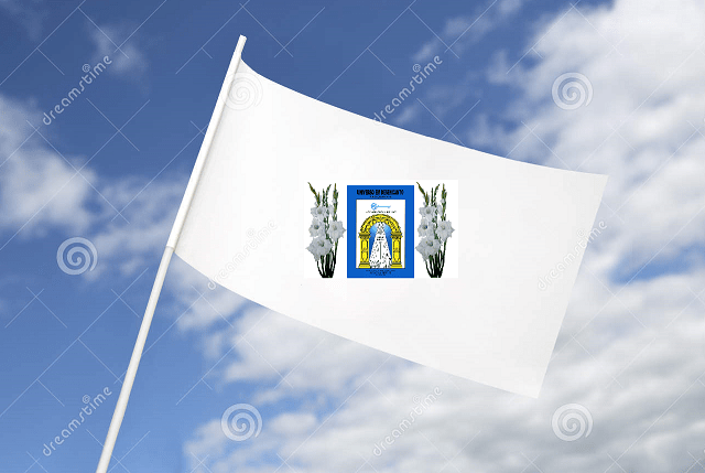 ENCONTRANDO A BANDEIRA BRANCA DA PAZ