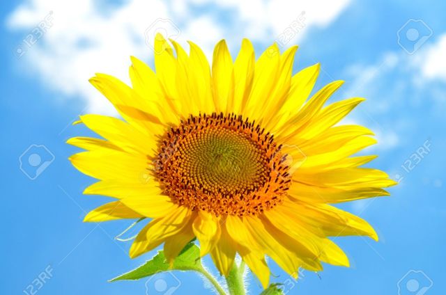 UMA ÚNICA LUZ AFASTA TODA A NEGATIVIDADE