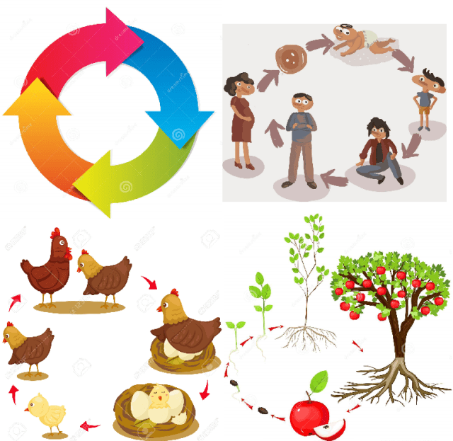 FINADOS - MUITO BOM REFLETIR A RESPEITO.