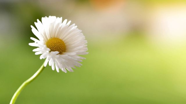 O ENCONTRO DO BEM QUE TODOS PROCURAM