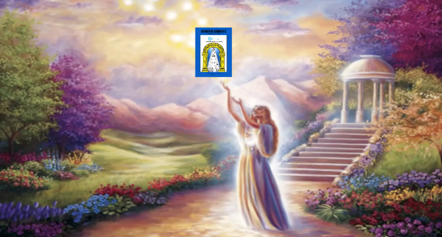 SEU PASSAPORTE UNIVERSAL