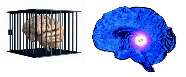 SOMENTE SE GOVERNA QUANDO SE RACIOCINA.jpg