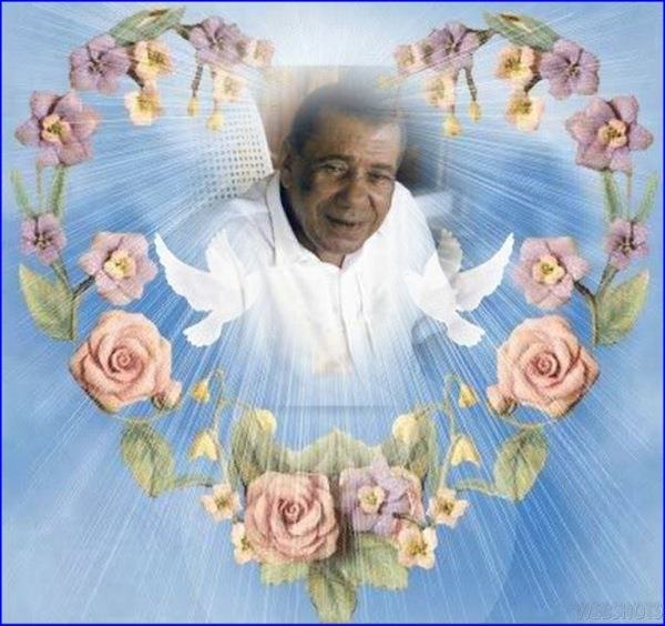 389557_248579321872883_100001624509300_764620_707847814_n