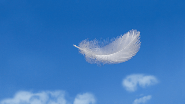 DIMINUA O PESO DA SUA VIDA.png