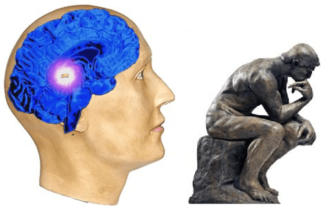 RACIOCINAR É A FORÇA! PENSAR É A QUEDA NA VIDA.