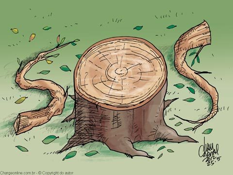 FORA DA LINHA CERTA, NADA DÁ CERTO!