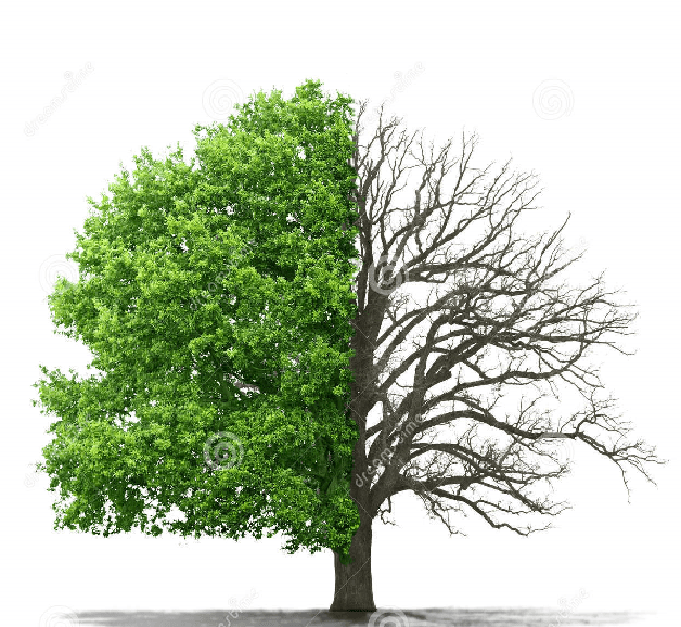 O VIVER SEM SE CONHECER