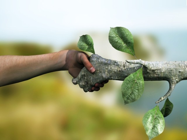 SEM HUMILDADE NÃO HÁ RACIOCÍNIO