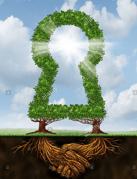 A VIDA CONTURBADA DA TERRA TEM SOLUÇÃO.jpg