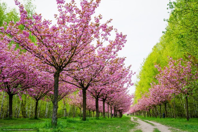 SEM RACIOCÍNIO NÃO EXISTE UNIÃO.jpg