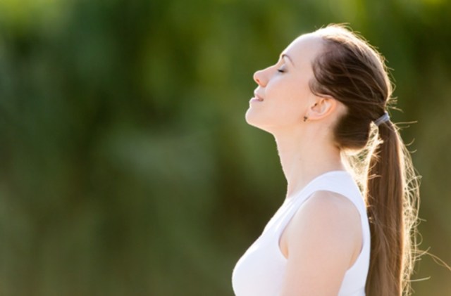 TENHA SEU GUIA ORIENTADOR – ELE ESTÁ DENTRO DE VOCÊ