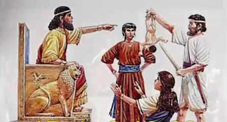 REFLEXÕES RACIONAIS 56 - DURA LEX SED LEX