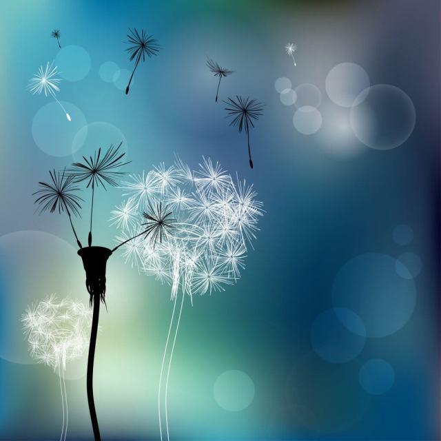 CONHECER O TUDO DA VIDA PARA SE LIBERTAR DO NADA DA MATÉRIA