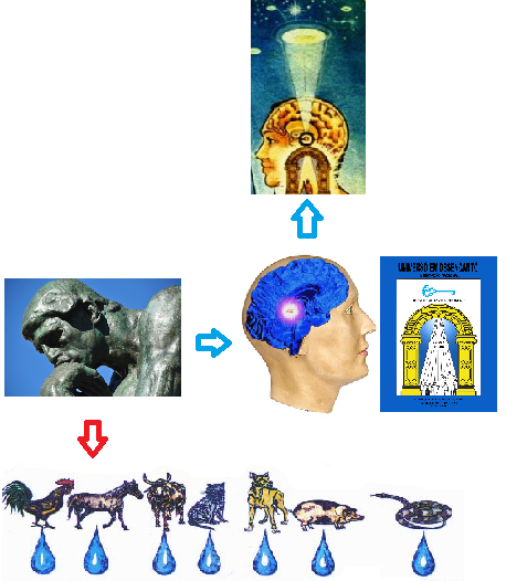 O FIM DO PENSAMENTO E O FIM DO RACIOCÍNIO.png