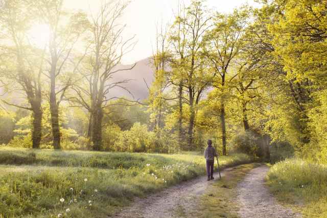 PROCURE EM CAMINHO CERTO