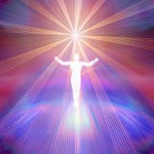 QUEM É O SER HUMANO