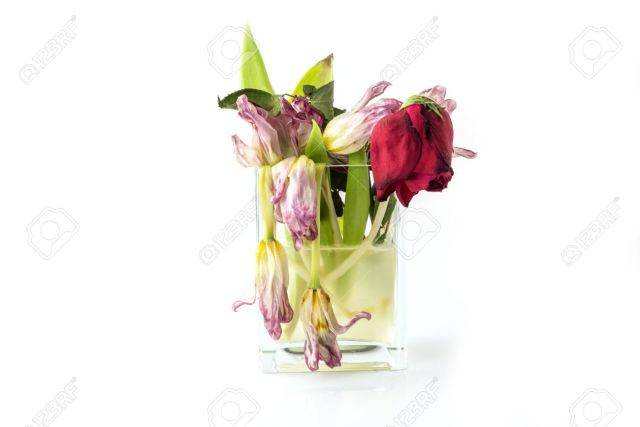 A vase full of withered and dead flowers