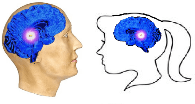 O FEMININO, O MASCULINO , O MACHO E A FÊMEA E O VERDADEIRO ESTADO NATURAL DE TODA A HUMANIDADE.png