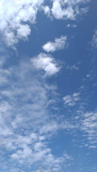 RIACHO FUNDO 1 - MATA 1